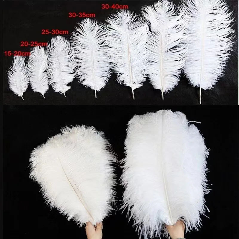 wholesale feather ostrich crafts supplier full size 20-80 cm natural colorful white black ostrich feather trim