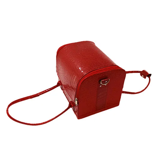 Fashion Alligator Aluminum Makeup Bag / Case