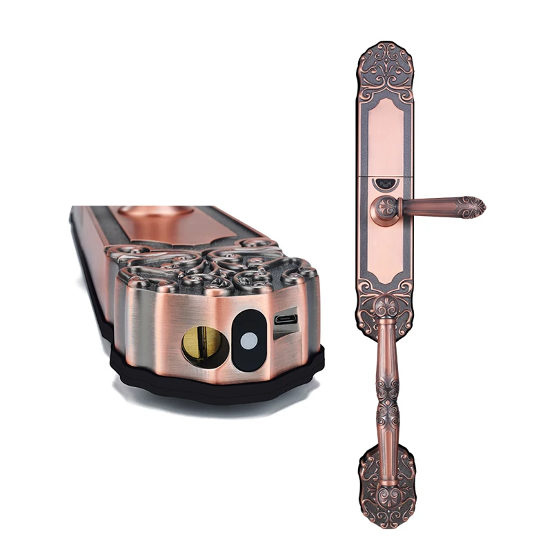 Classical European Luxury Villa smart lock villa fingerprint lock Tuya password lock double door mobile phone remote unlocking