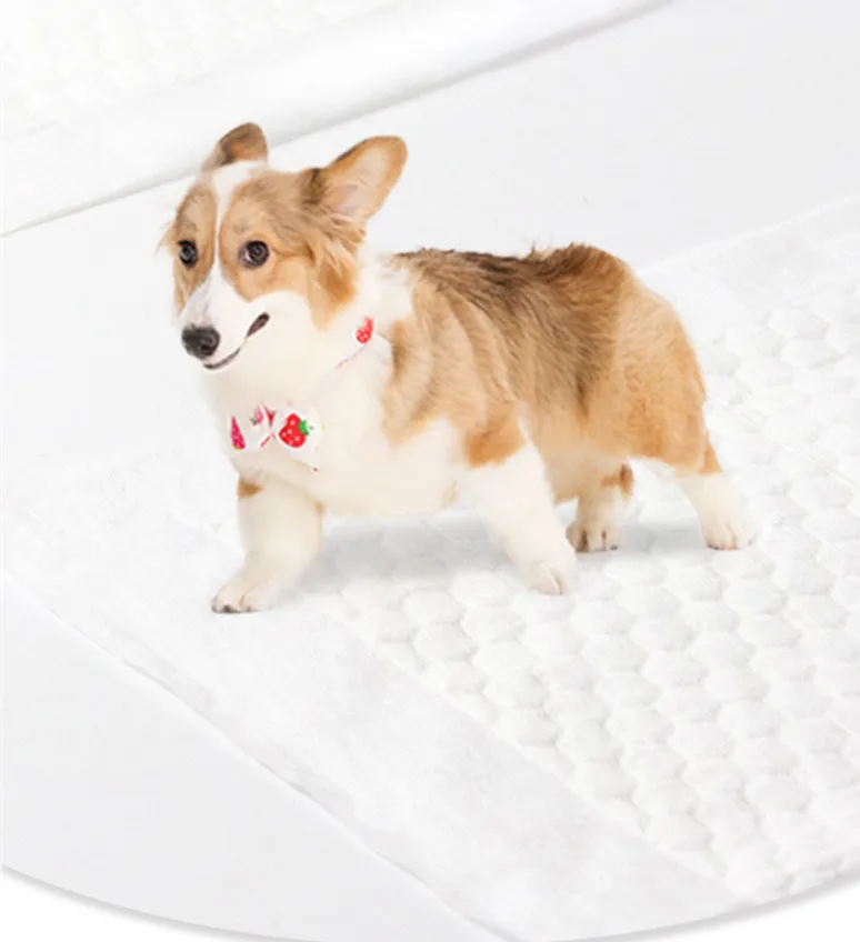 Высококачественный тонкий и высококачественный дезодорант и Воздухопроницаемый Пеленальный Коврик для туалета из серии продуктов.