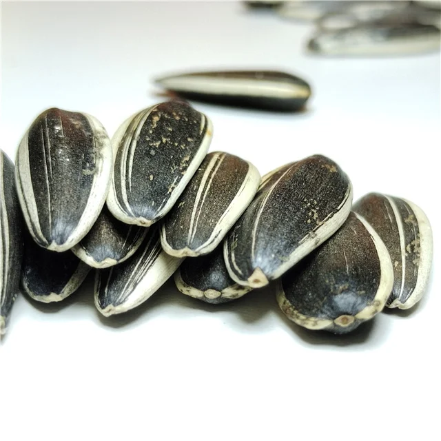 Inner Mongolia Factory Export Raw Black Sunflower Seeds 361 With High-class Crop 2021