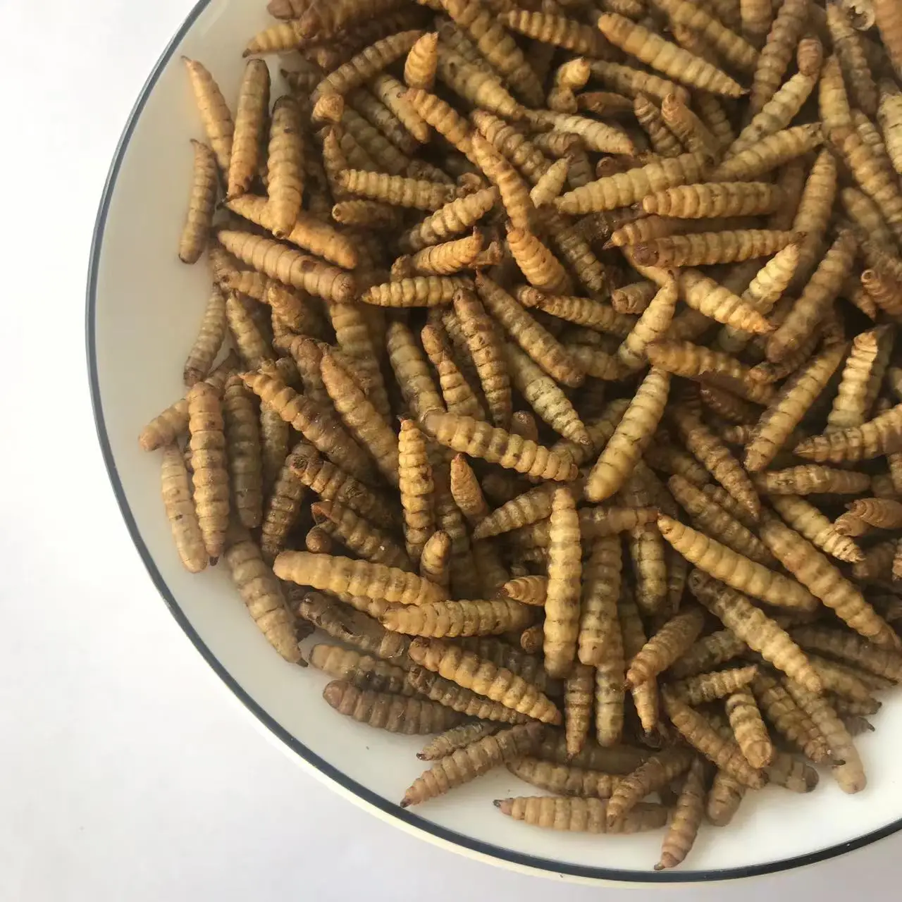 Dried Maggot BSFL Black Soldier Fly Larvae Dry Maggot Insect Protein Poultry Feed