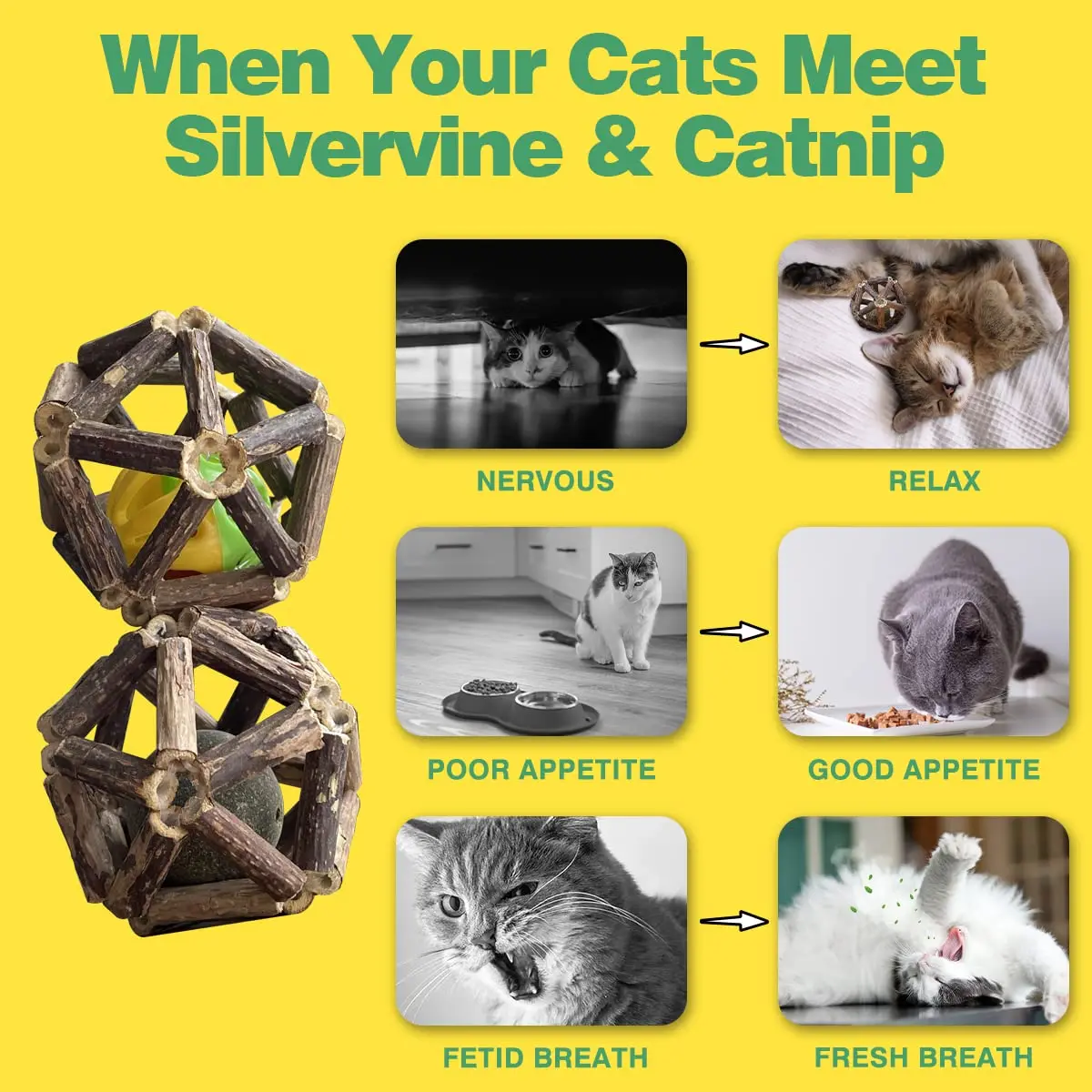 Petdom Catnip Natural Silvervine Stick Bell Ball For Indoor Cleaning Teeth Molar Tools Chew Toy Kitten Scratcher Mint Cat Toy