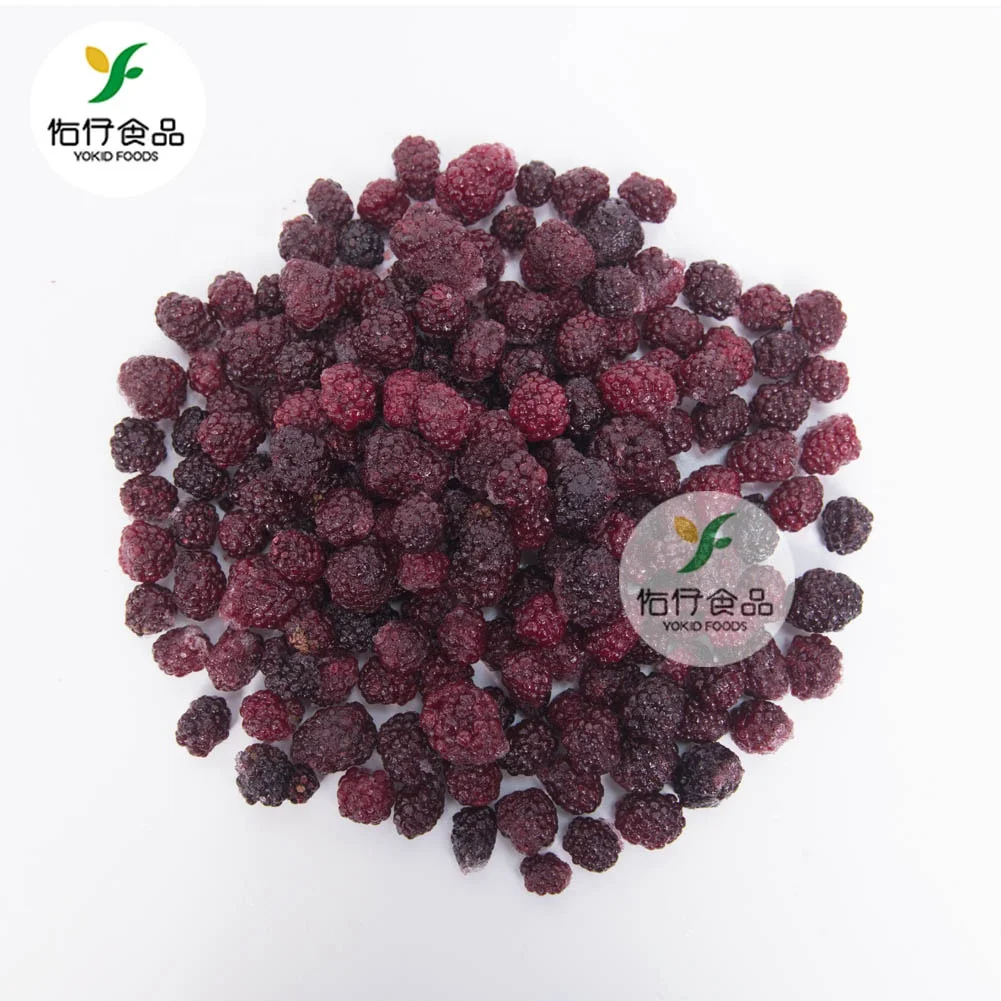 Фруктовые продукты замороженные Iqf Blackberry цена