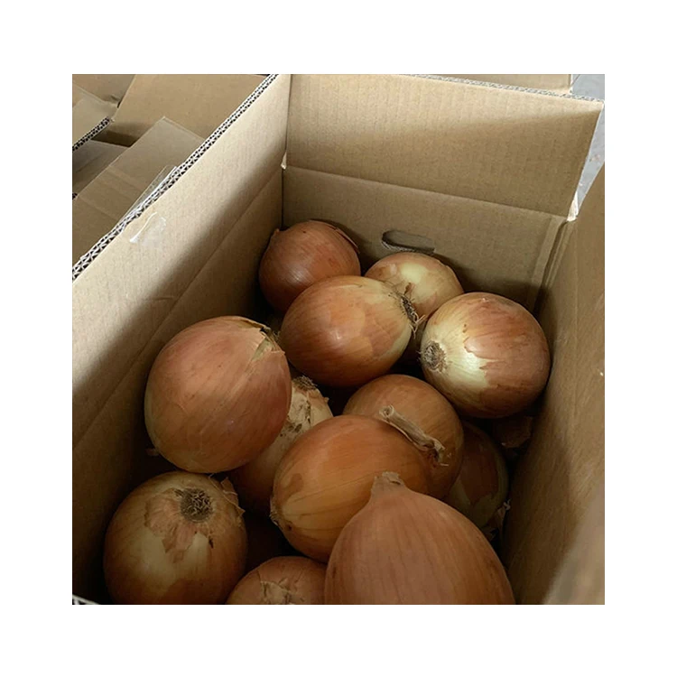 Best Selling Fresh Onions Supplier Fresh Rich Nutrition Red Onions Fresh Onions