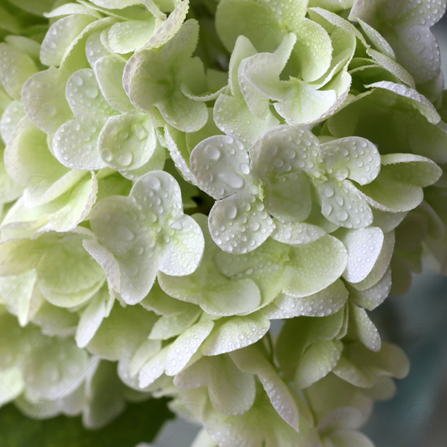 FW Trade Assurance Artificial Flowers In Bulk Real Touch Roses Heads Hydrangea