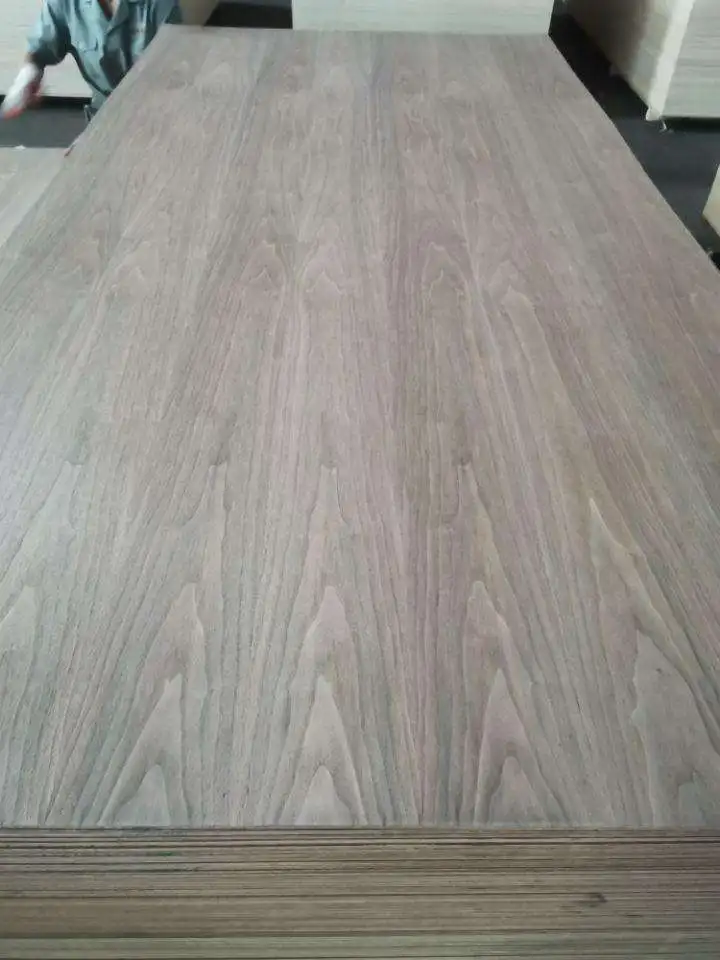 1220*2440* 12mm 15mm 18mm melamine waterproof Melamine Faced Laminated Plywood for Furniture and Cabinets
