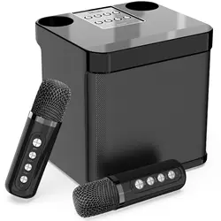Portable Bluetooth Karaoke Speaker for TV, with 2 Wireless Microphones PA Speaker System for Indoor Outdoor Party, Family Party