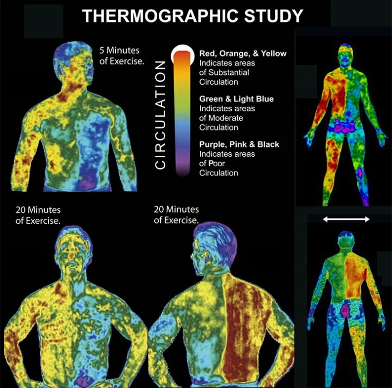 Крем-тоник для похудения, сжигания жира, потери веса, 6 упаковок