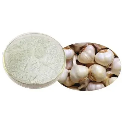 Natural Garlic Extract Allicin Powder Garlic Extract Powder