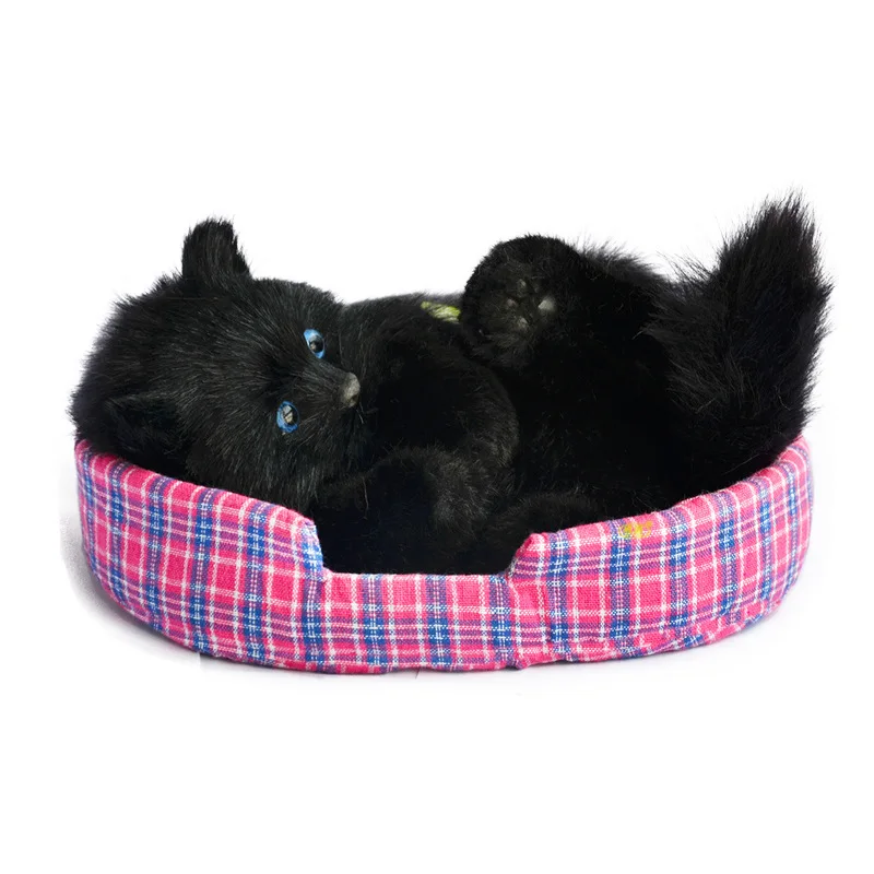 Simulated cat handicraft simulation of the animal model