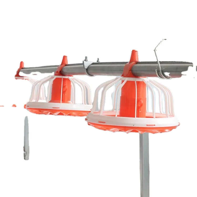 Poultry Automatic Feeding System for Broiler Farm