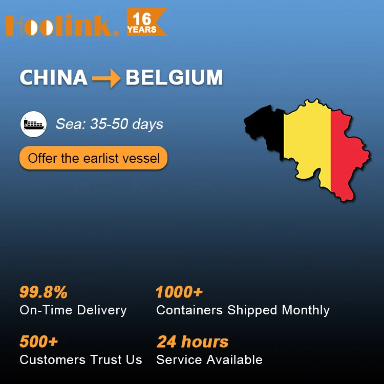 Fast DDP Shipping FCL/LCL 20ft 40ft Container To Belgium From Qingdao Guangzhou Shenzhen China Agent Price Rate By Sea