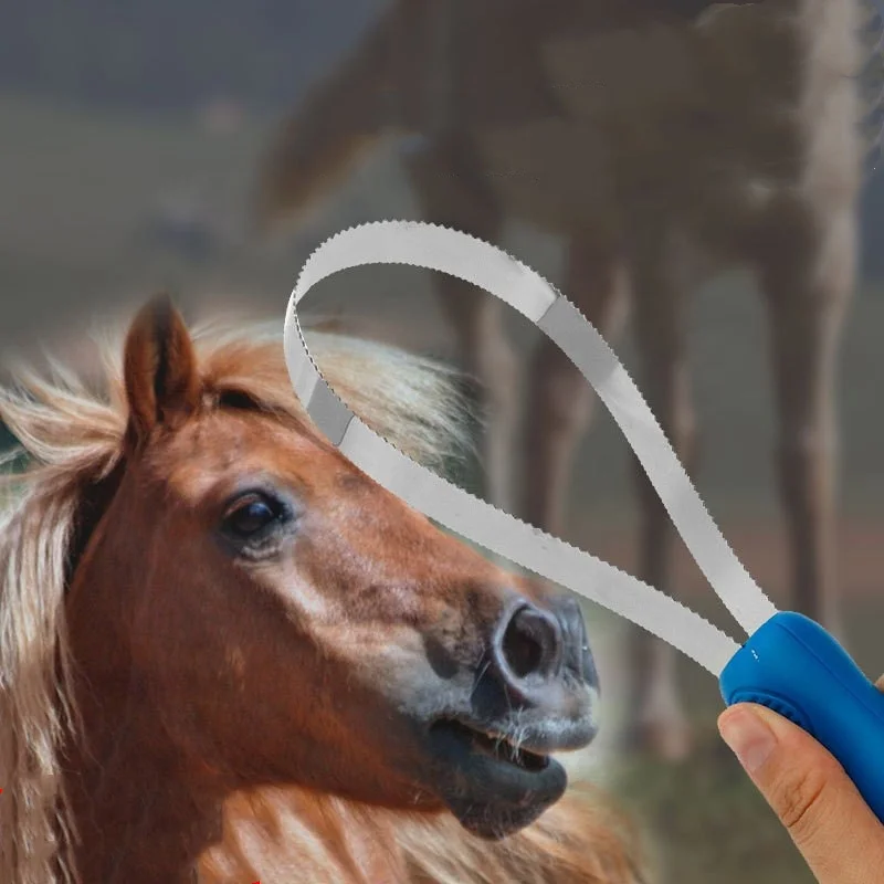 Stainless steel sawtooth horse sweat scraper brush iron sweat scraper horse hair brush scraper horse supplies cleaning tools