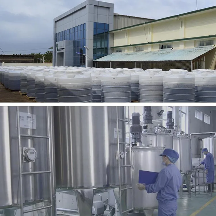 Factory wholesale Water Soluble Bulk Noni Fruit Extract Powder for Immunity Healthy