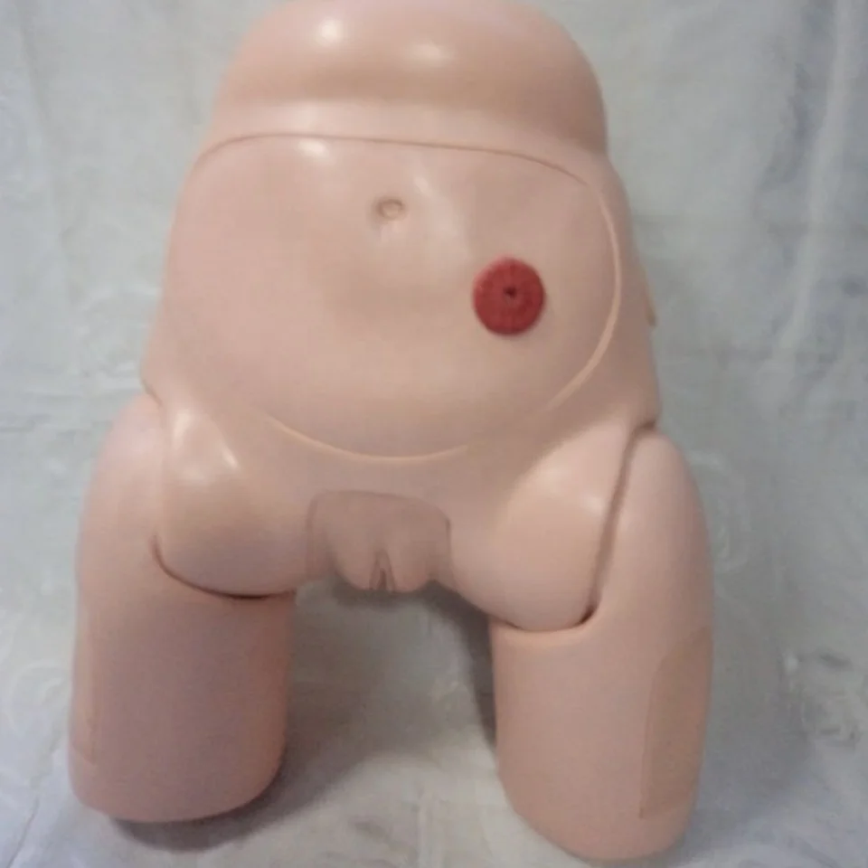 Advanced High Quality Human Nursing Training model  female Catheterization enama medical Model