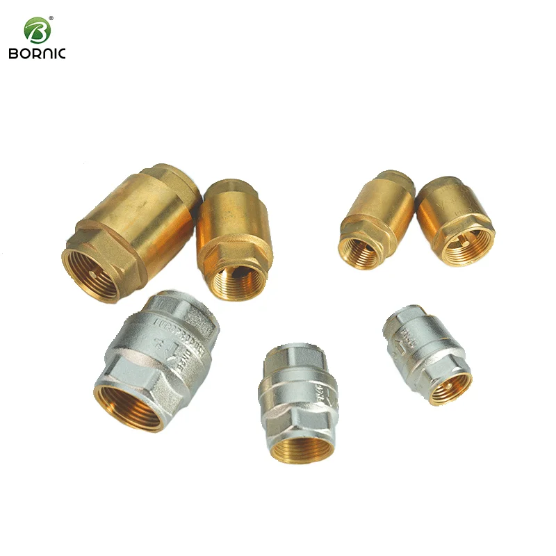 DN8 DN10 DN15 DN20 DN25 DN80 для воды общего применения OEM настраиваемый обратный клапан