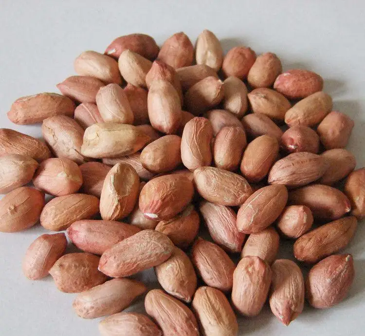 Новая красная кожа арахиса сырой ядра для продажи с хорошим качеством