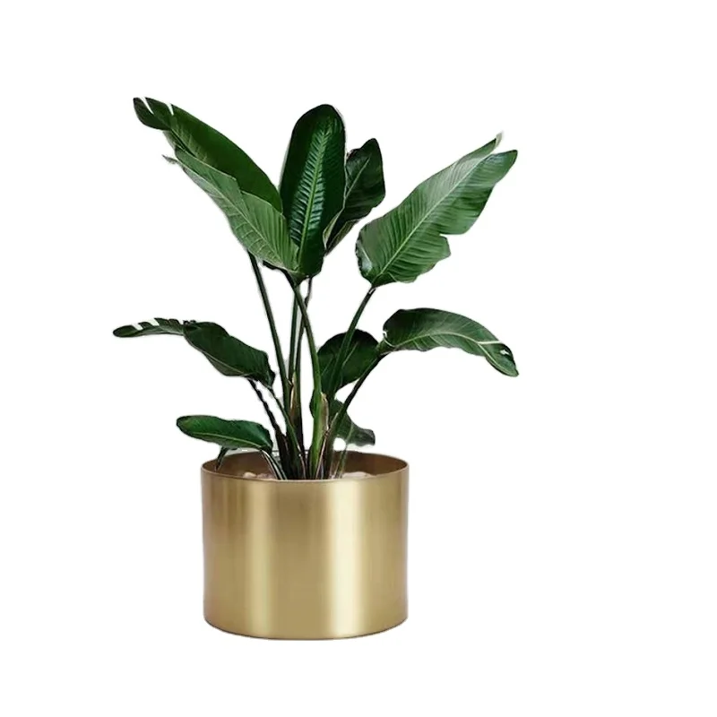 Customizable Modern European Style Metal Plated Planter Pot Anodized Aluminium Plant Pot for Metal Spinning and Fabrication