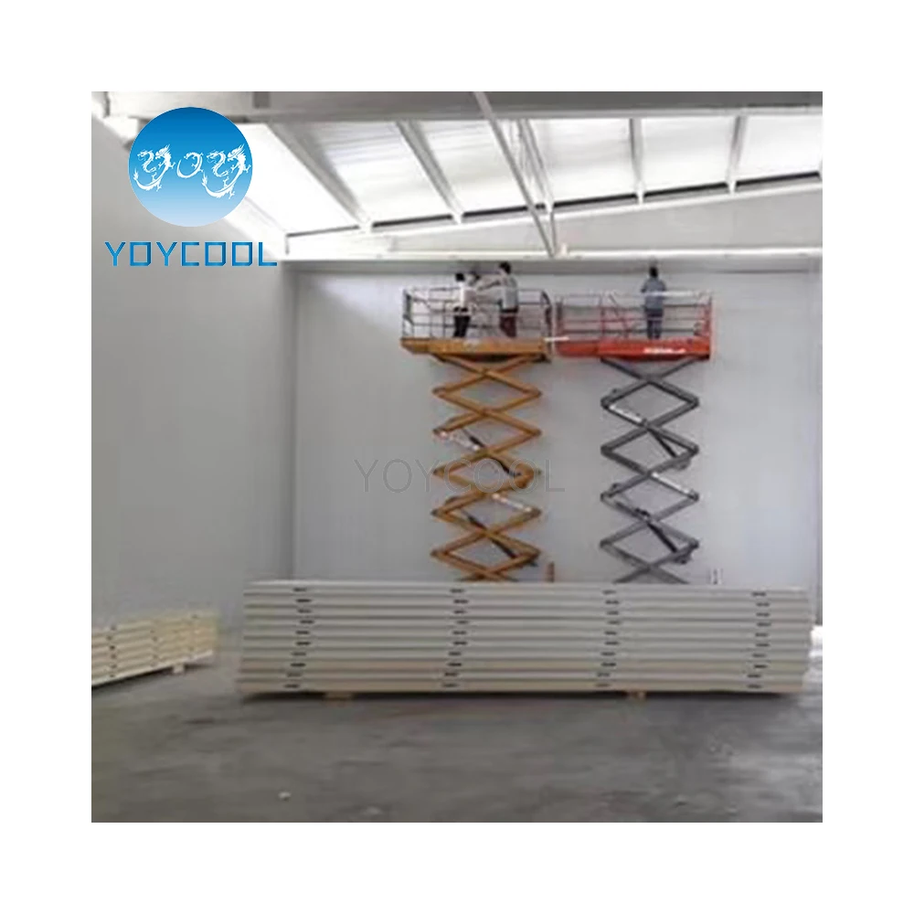 Cooling And Freezing For Foods deep freezer freezer room for chicken