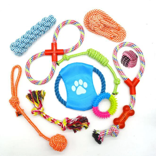 
2021 Amazon hot sale Cotton rope chew toy dog funny interactive toy 