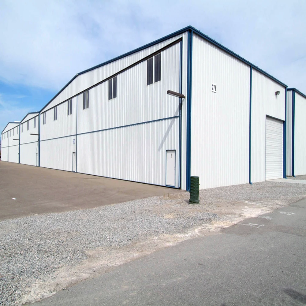 China Professional Supplier Steel Structure Metal Building Warehouse Steel Structure Storage Workshop Factory
