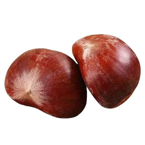 Good Quality Chestnut