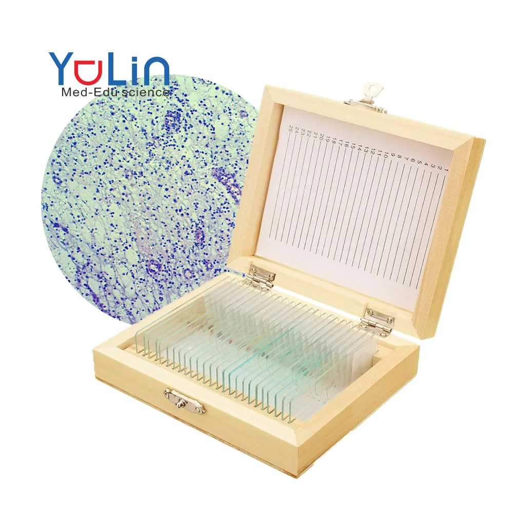 Factory Educational equipment Medical science Provide science lab researching prepared slides for kids microscope