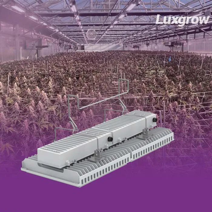 Hydroponics Greenhouse Garden Growth Lighting Top LED Plant Fill Light Full Spectrum Indoor 1200w 800w Greenhouse LED Grow Light