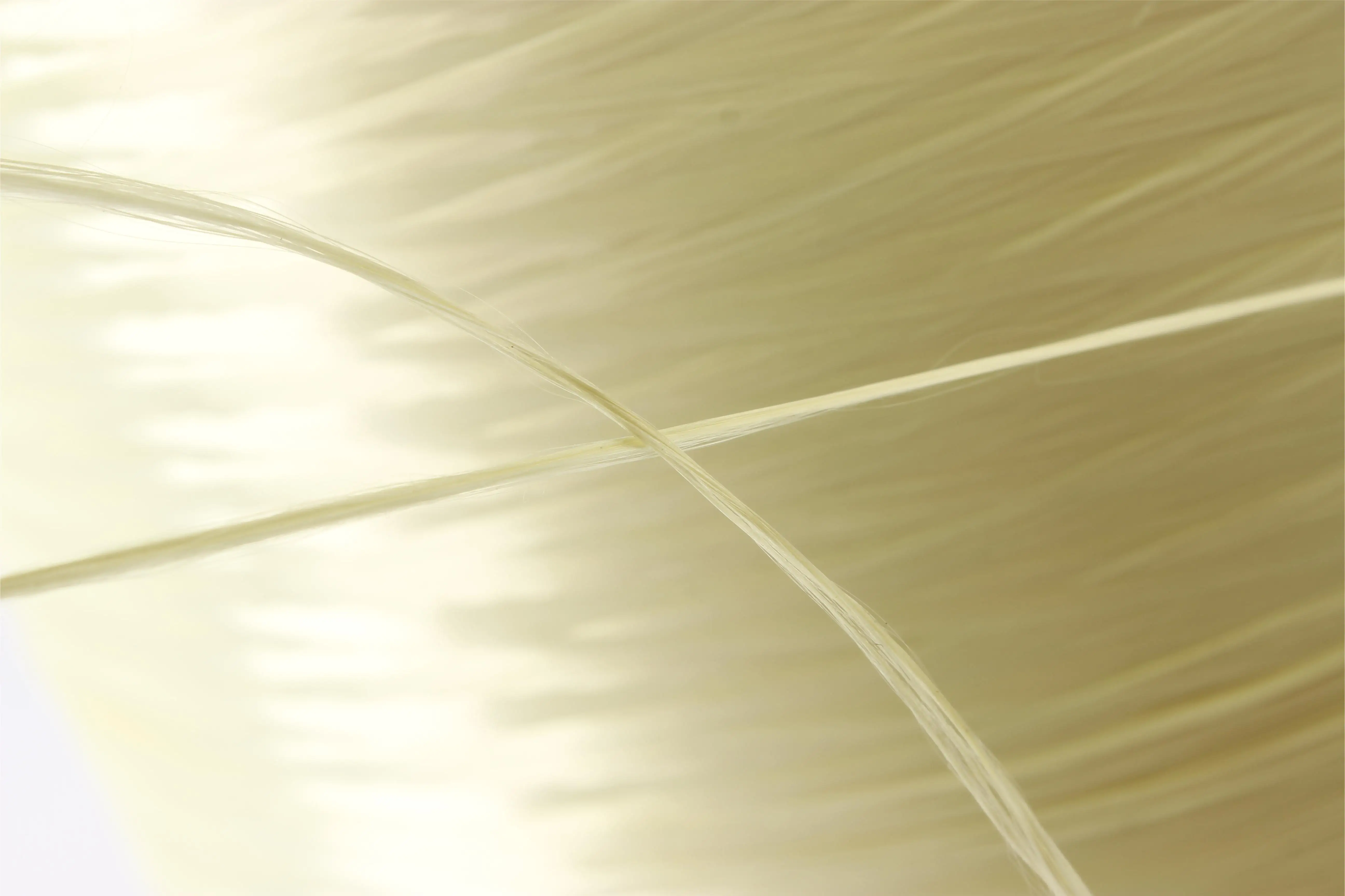 Factory Direct Supply for Cable and Wire,High-modulus 1500D Para Aramid Fiber Filament Yarn