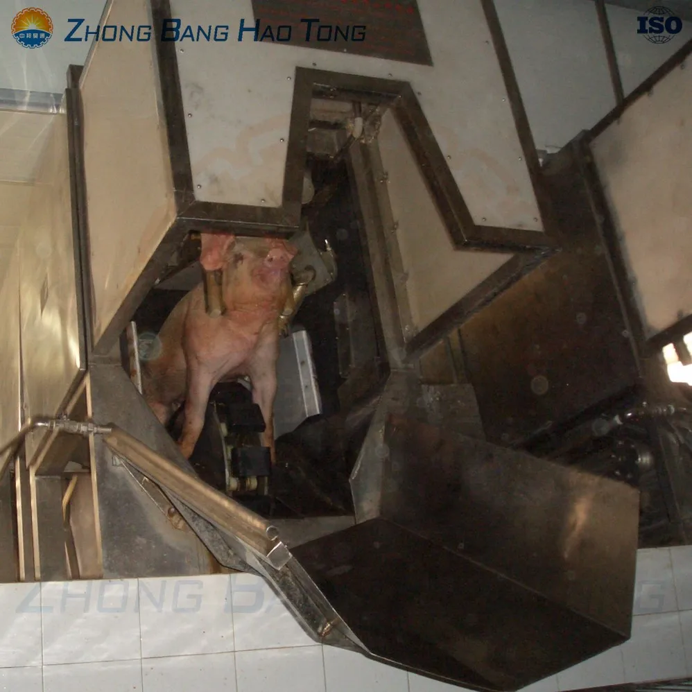 Pig Slaughter Equipment  Pig Carcass Dressing Line Machine  For Abattoir