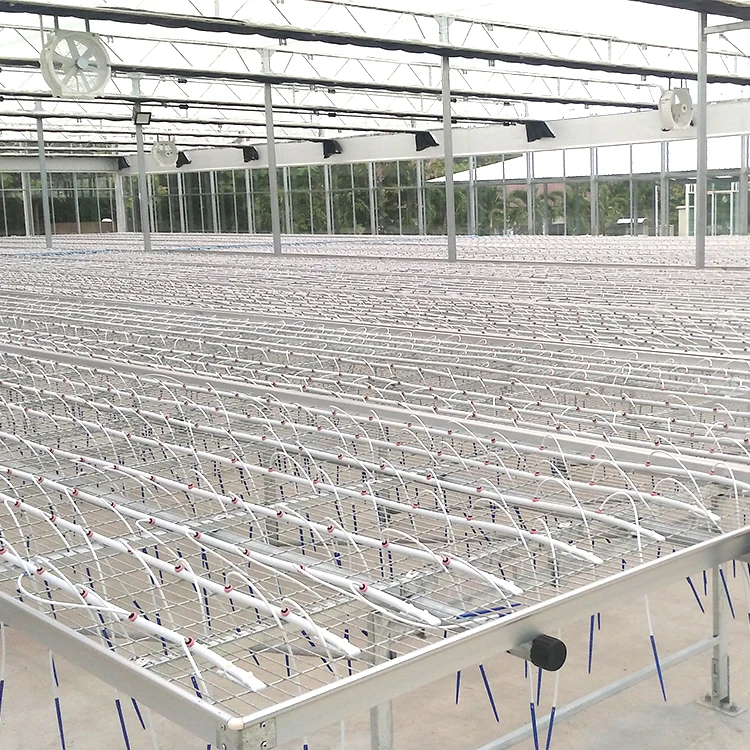 Agriculture Greenhouse Seed Rolling Bench Rolling Bed
