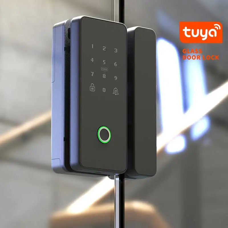 Умный Цифровой Wifi биометрический отпечаток пальца Алюминиевый Электрический нижний туя дверной замок два безрамочных раздвижных стеклянных дверного