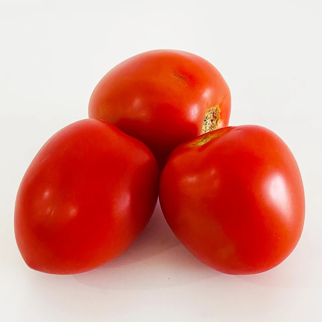 Fresh Tomatoes For Sale - FRESH TOMATOES from Vietnam - Organic Fresh Tomatoes Wholesale Price