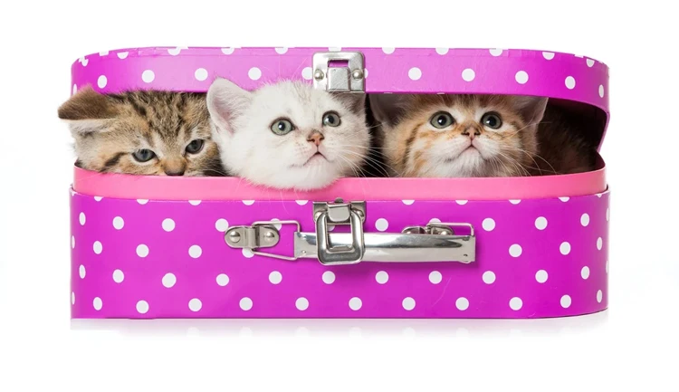 Paper Cardboard Decorative Kid style storage Suitcases For Small Toys, Set Of 3