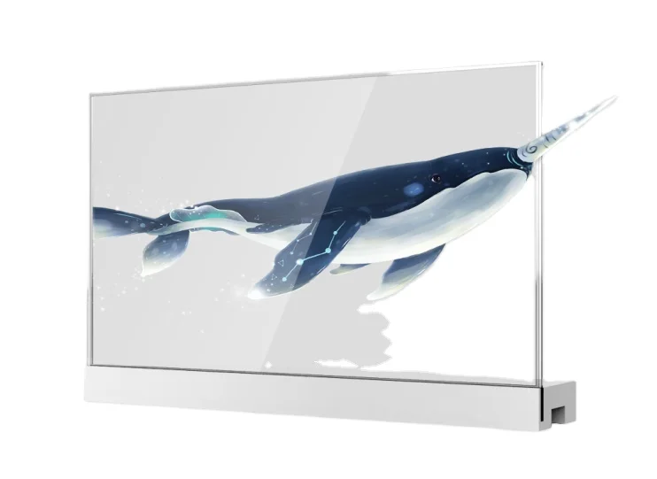 OLED TV Gallery Design Cinema Smart