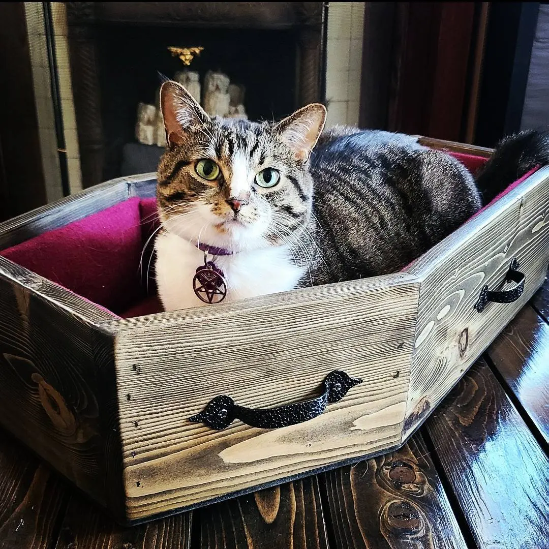 ODM OEM Customized Wood Pet Bed Coffin Pet Bed Wood Pet Furniture