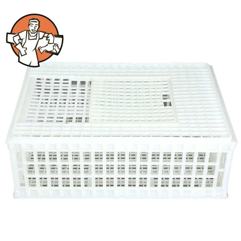 Оборудование для птицы, пластиковый ящик для перевозки куриц