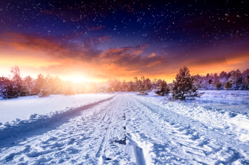 Wholesale Christmas Photography Backdrop Photo Xmas Snow Tree Scene Background Prop