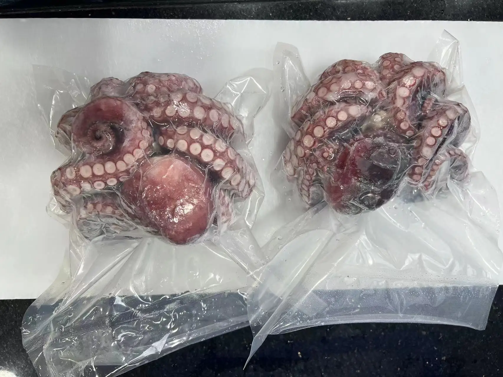 Frozen cooked  octopus WR IQF Cooked Octopus WHOLE ROUND  Octopodidae