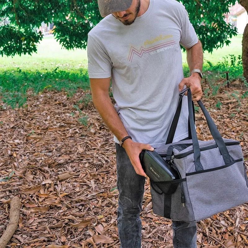 Сумка для переноски туристической электростанции, 1000 Вт, 500 Вт, 300 Вт