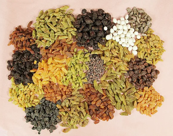 
Commercial Fruit and Vegetable Dryer / Grape Dryer / Kiwi Drying Machine 