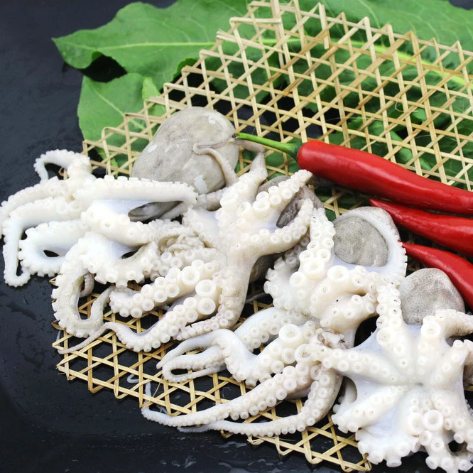 
seafood clean whole round frozen baby octopus 