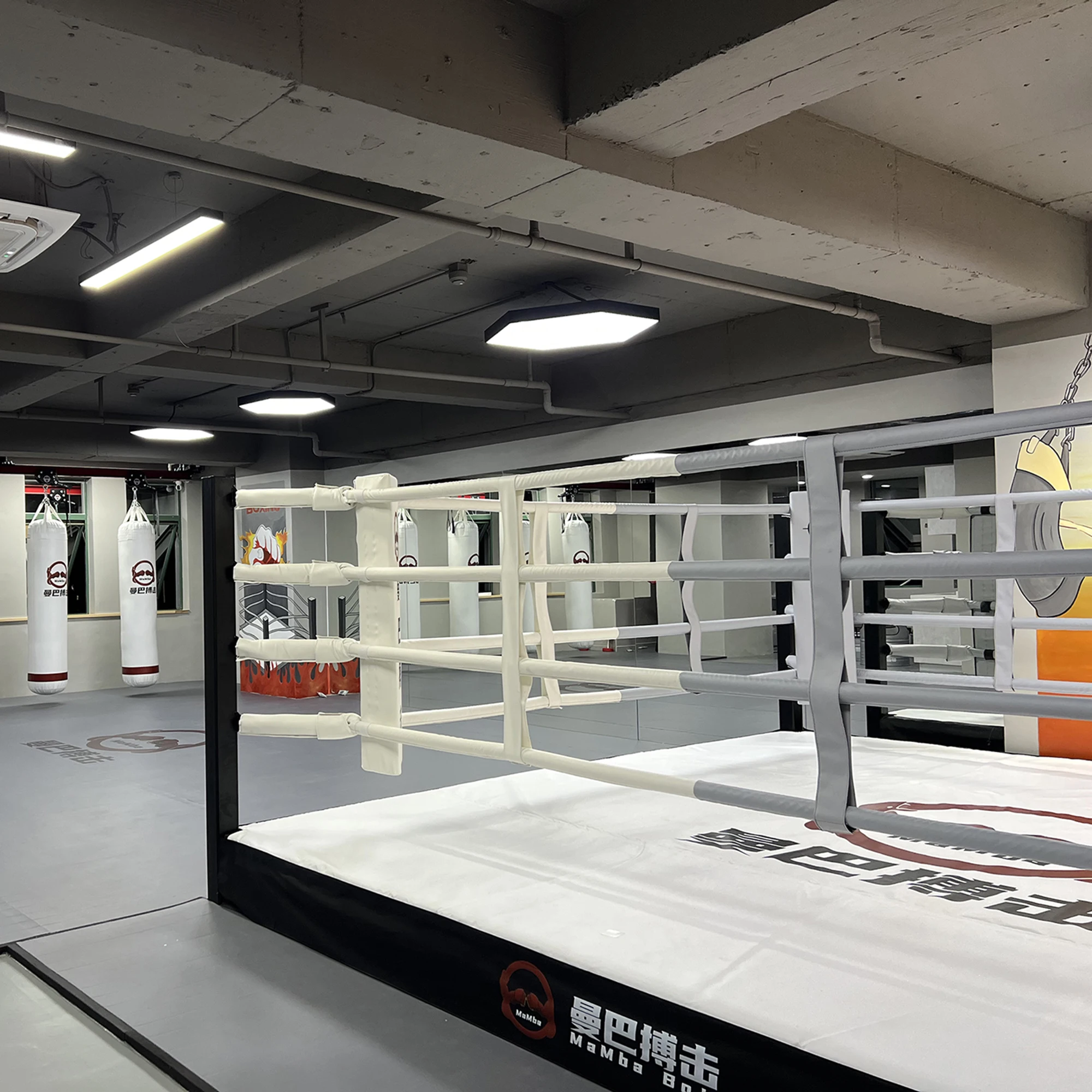 Многофункциональная станция большой емкости для борьбы Mma фитнеса тяжелой атлетики