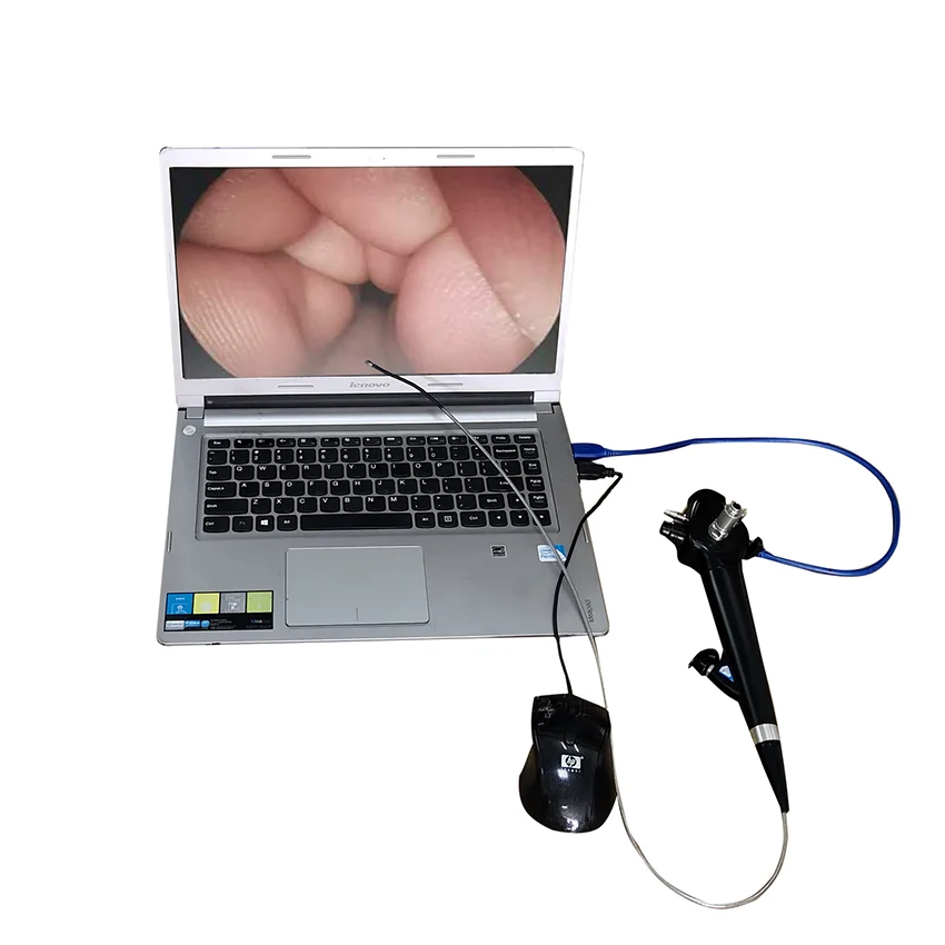 USB option video gastro-colonoscope for horse