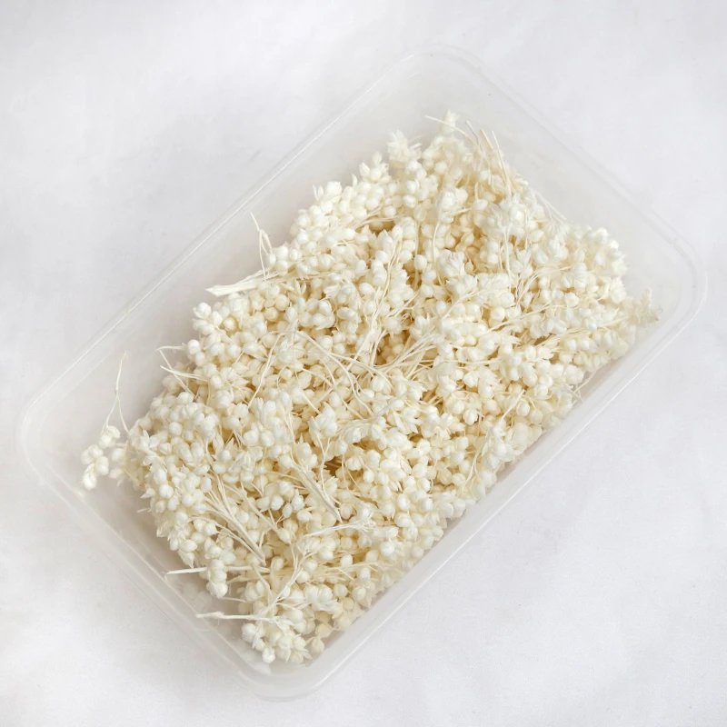 GH-096 wholesale dried flower bag natural bulk lavender daisy preserved dried flower material package heads for decoration