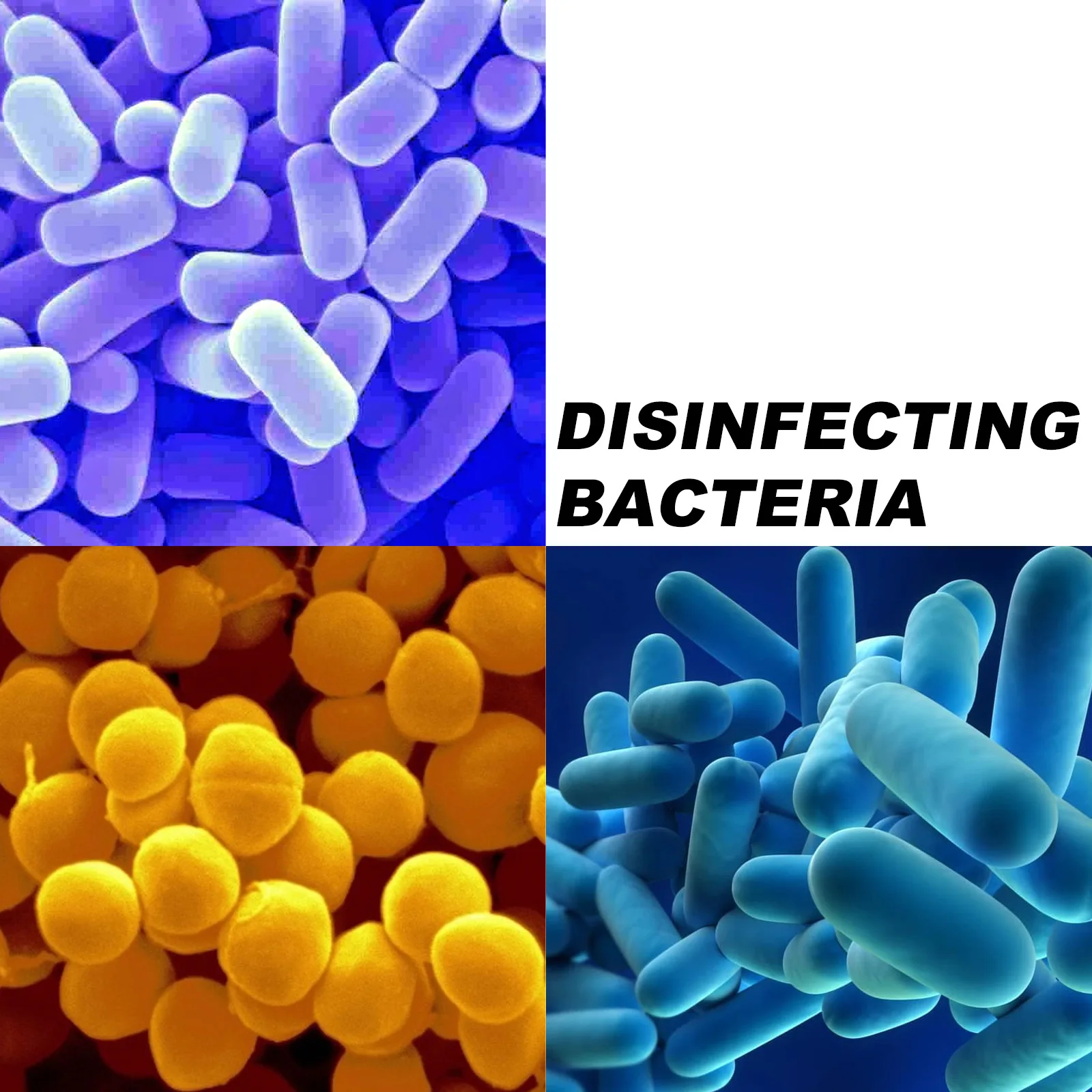 Jaysuing Swimming Pool Effervescent Tablets Multifunctional Pool Cleaning Stains Efficient Removal of Stains Tablet 50g/100g