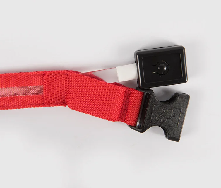 Hot Selling Pet USB Rechargeable Small Wire Mesh LED Dog collar