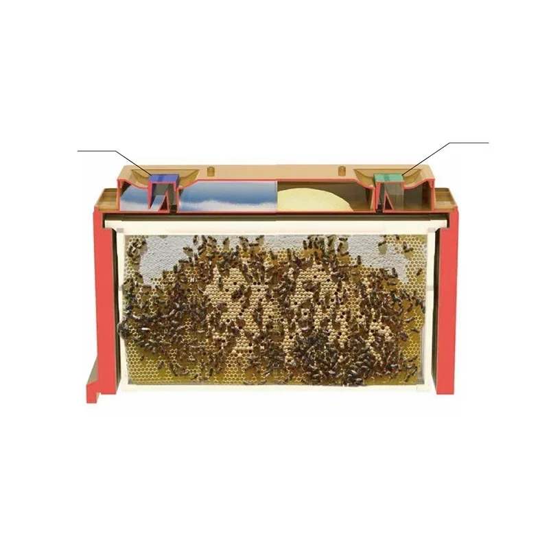 Wholesale  price 3 layers Langstroth Beehive Thermo Box for Bee Plastic Beehive