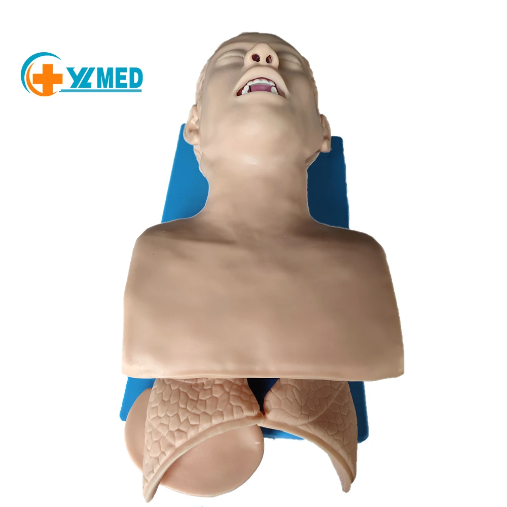 The anatomical model was used to train the tracheal intubation model in the tracheal intubation training simulator laboratory